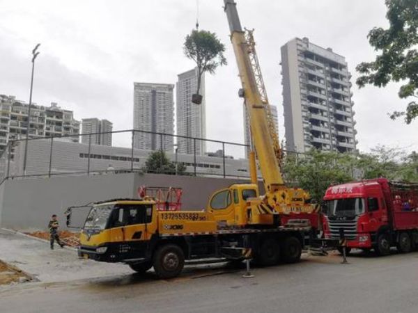 红谷滩新区吊车租赁公司_25吨吊车租赁价格是多少?